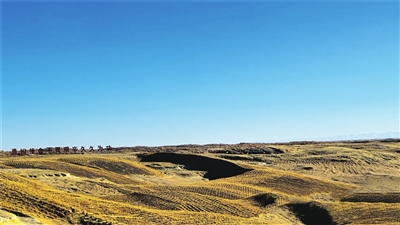 d2c053201e043ac d2c053201e043ac