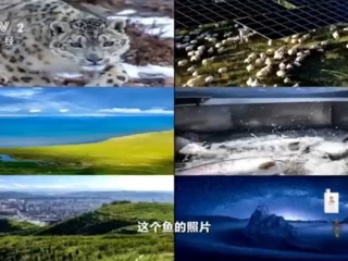 两山理念的高原答卷-一条鱼背后的生态答卷