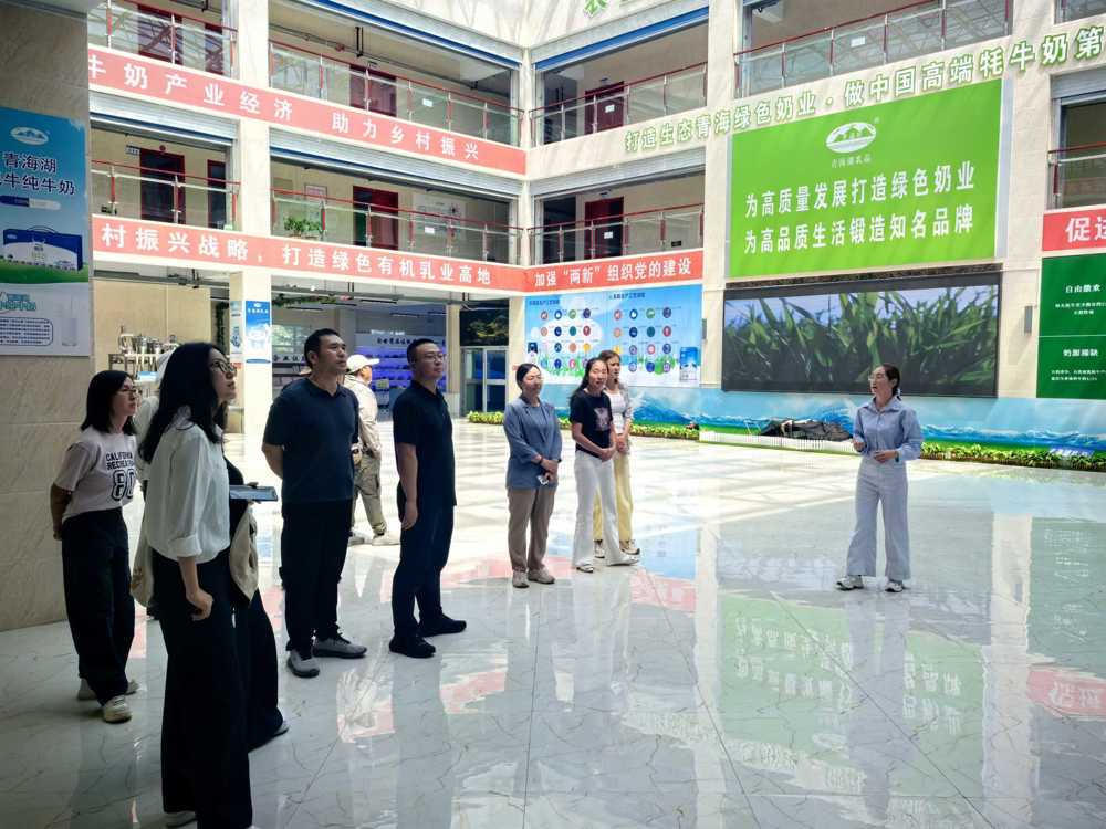 世界杯怎么下赌注