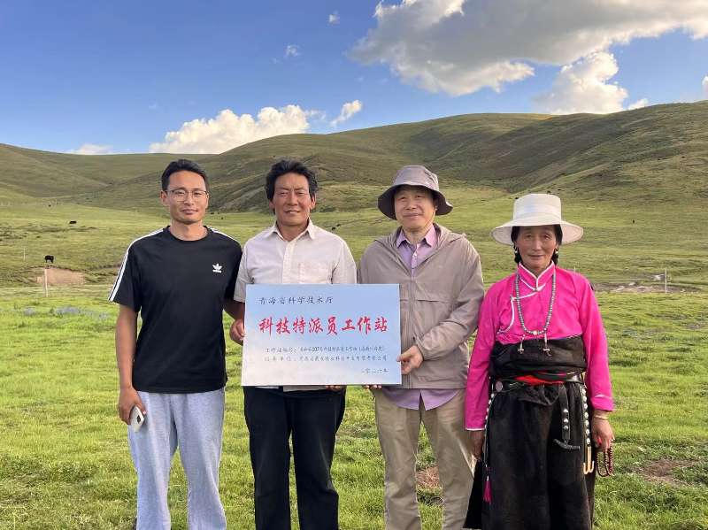 世界杯怎么下赌注