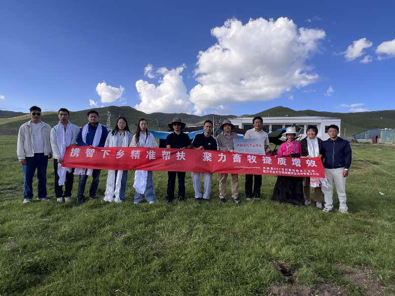 世界杯怎么下赌注